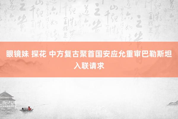 眼镜妹 探花 中方复古聚首国安应允重审巴勒斯坦入联请求