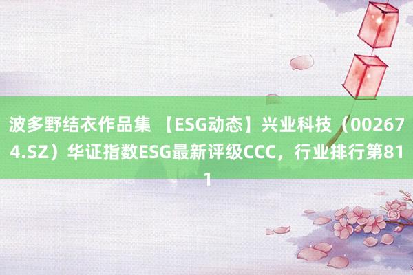 波多野结衣作品集 【ESG动态】兴业科技（002674.SZ）华证指数ESG最新评级CCC，行业排行第81