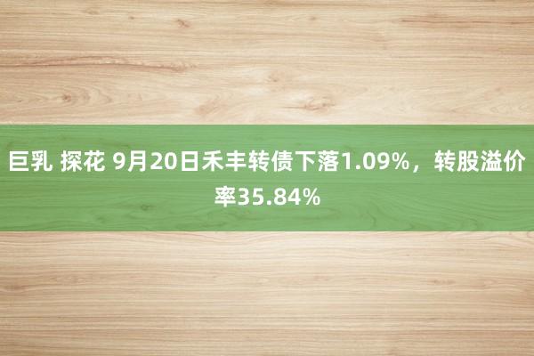 巨乳 探花 9月20日禾丰转债下落1.09%，转股溢价率35.84%
