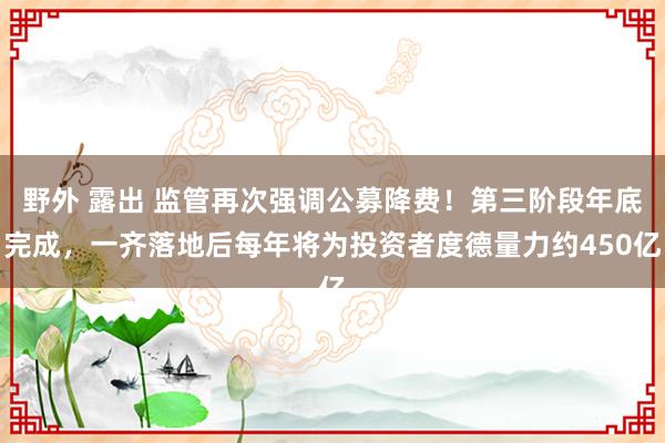 野外 露出 监管再次强调公募降费！第三阶段年底完成，一齐落地后每年将为投资者度德量力约450亿