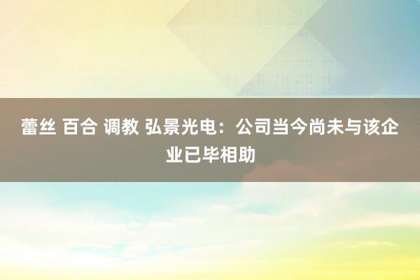 蕾丝 百合 调教 弘景光电：公司当今尚未与该企业已毕相助