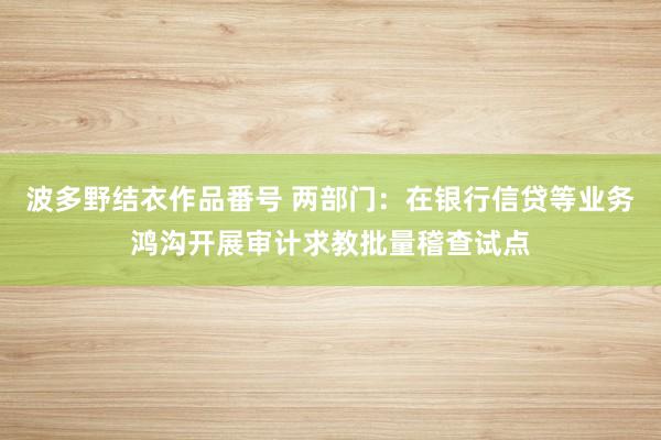 波多野结衣作品番号 两部门：在银行信贷等业务鸿沟开展审计求教批量稽查试点