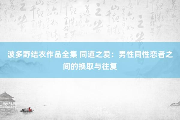 波多野结衣作品全集 同道之爱：男性同性恋者之间的换取与往复